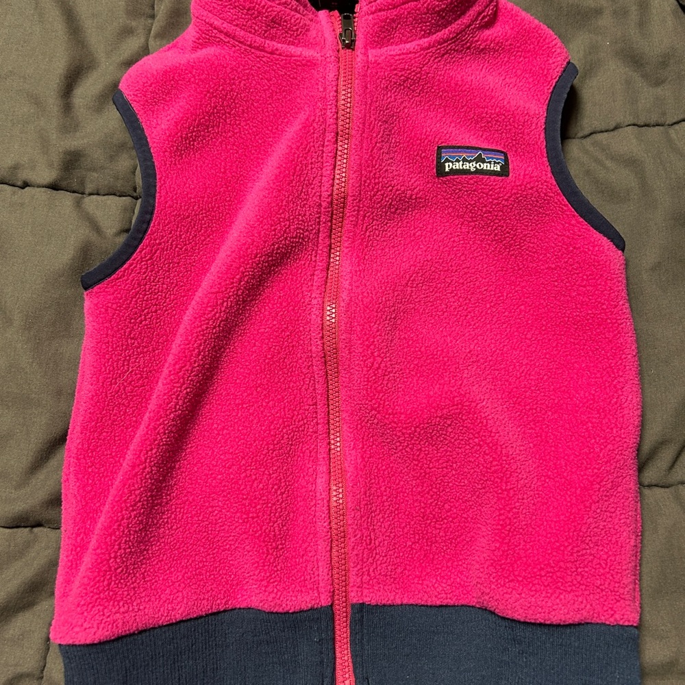 Patagonia Synchilla Bright Pink Vest